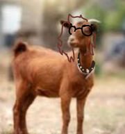 little gremling